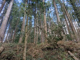  Terrain � vendre 80054 m�