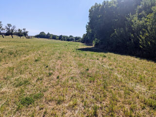  Terrain à vendre 2900 m² Tromborn