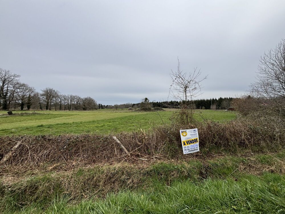   Vente d'un terrain à bâtir à 25 min au Nord de LIMOGES ! Limoges
