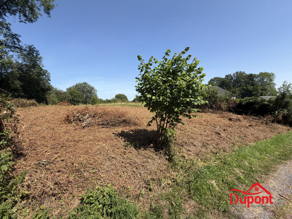 Vente Terrain terrain 1280 m2 Rocroi Rocroi