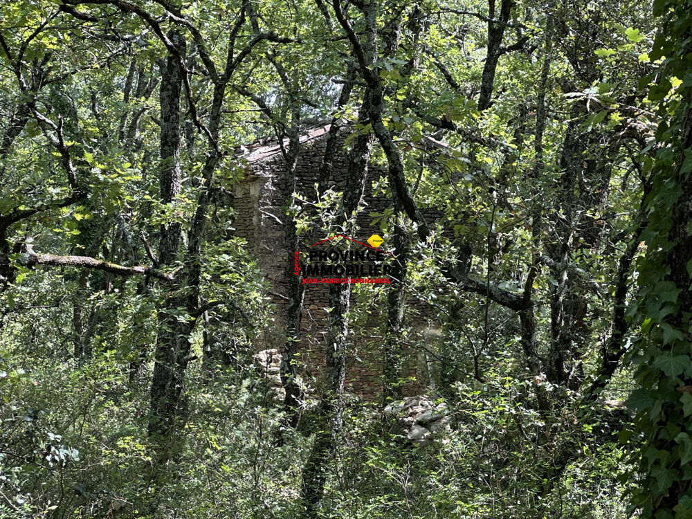   Très bel emplacment aux abords du village 