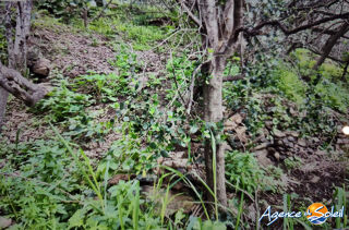  Terrain � vendre 4000 m�