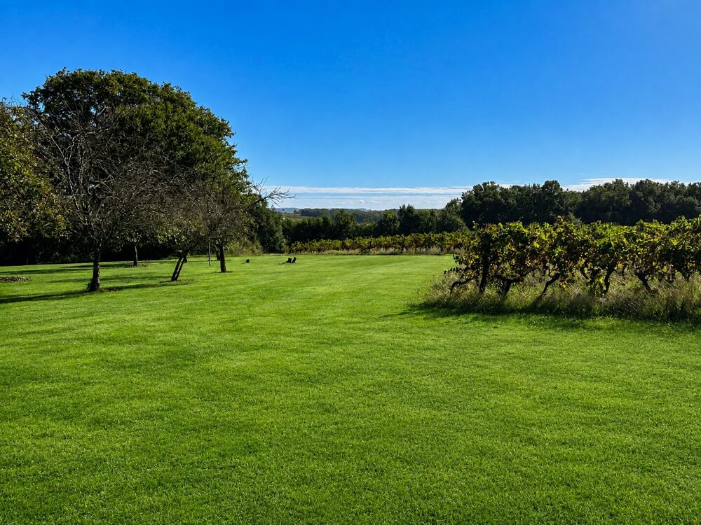 à vendre  Maison Savignac-de-Duras (47120)