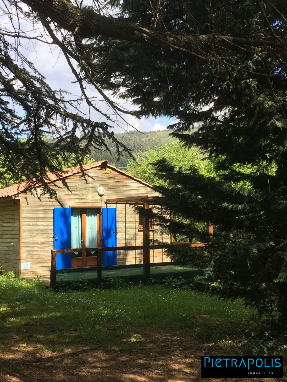  vendre  Proprit/chteau Saint-Julien-Molin-Molette (42220)