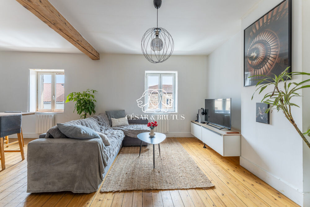 Appartement T2 Rénové de 55m2 avec cave et Jardin Partagé 
