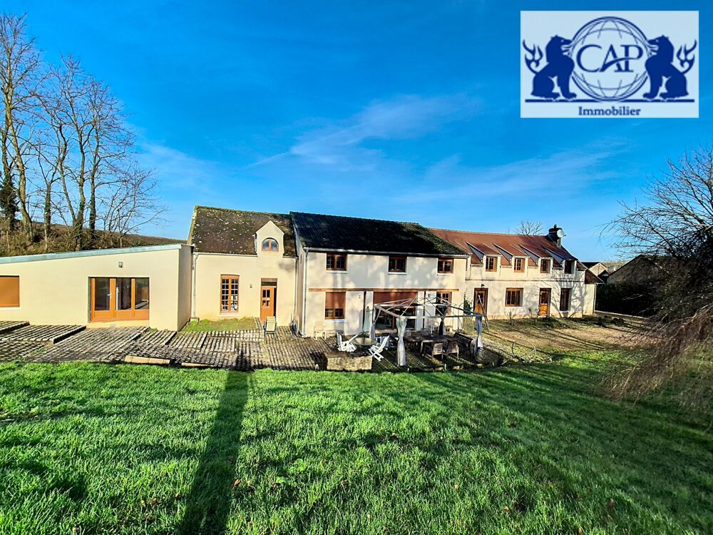 Vente Maison Vaste PROPRIETE, 460 m2 habitables avec Maison d'amis et Piscine Bray-sur-seine