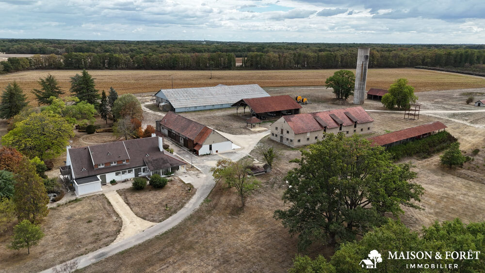 Vente Maison PROPRIÉTÉ DE CHASSE de 282 ha Gien