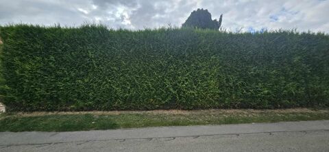   Terrain à vendre Léglantiers 