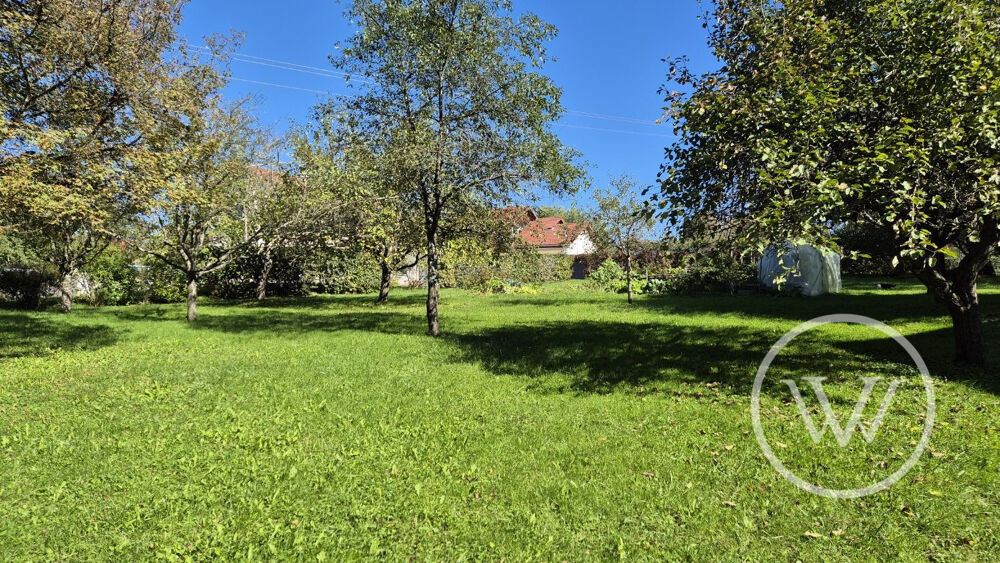 Vente Terrain Magnifique terrain de 26 ares avec 12 ares constructible hors lo Cussey-sur-l'ognon