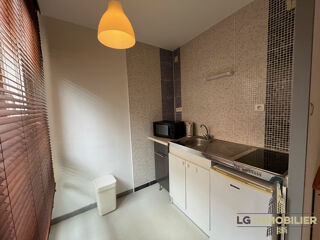 Appartement à louer 1 pièce 30 m²
