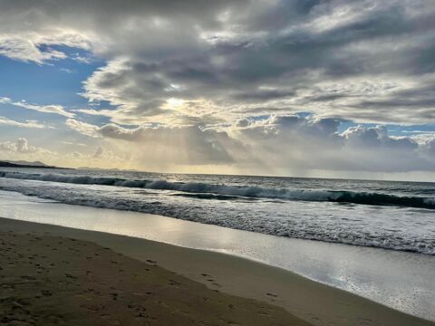 MURS ET FONDS DE COMMERCIAUX - STATION BALNEAIRE- MEDOC 575000 33930 Vendays-montalivet