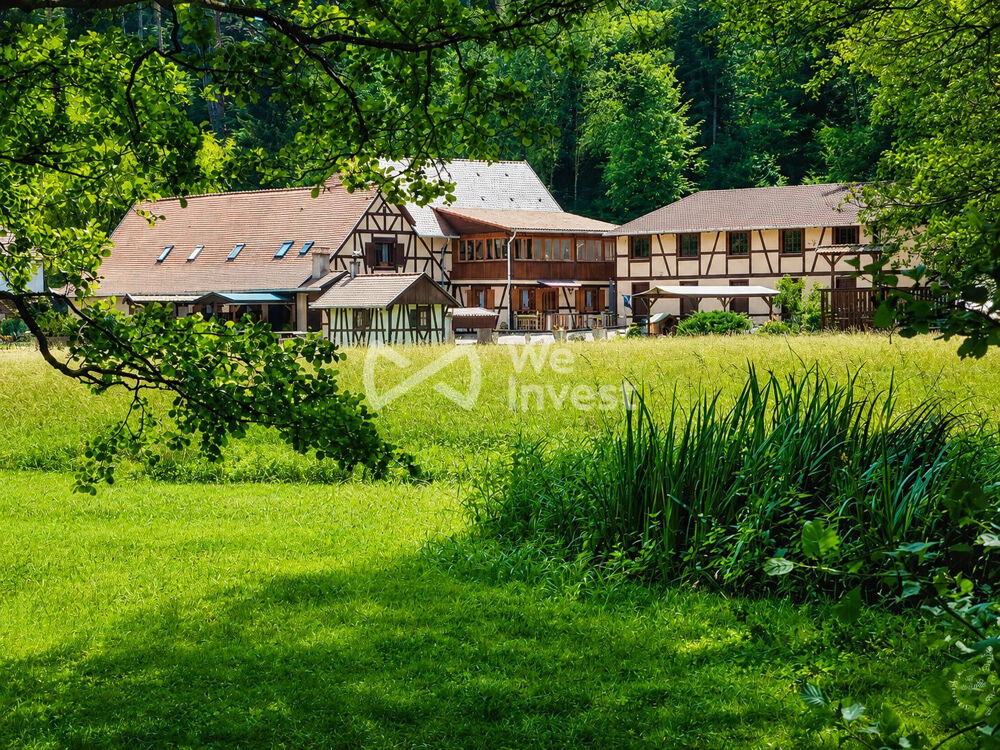 Maison 427 m² en 5 appartements sur près d'un hectare