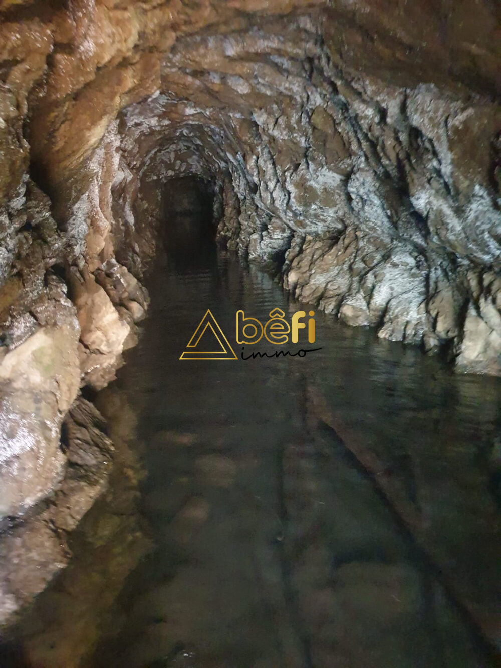 Vente Terrain TERRAIN BOISE D'EXCEPTION AVEC SOURCE NATURELLE Messeix