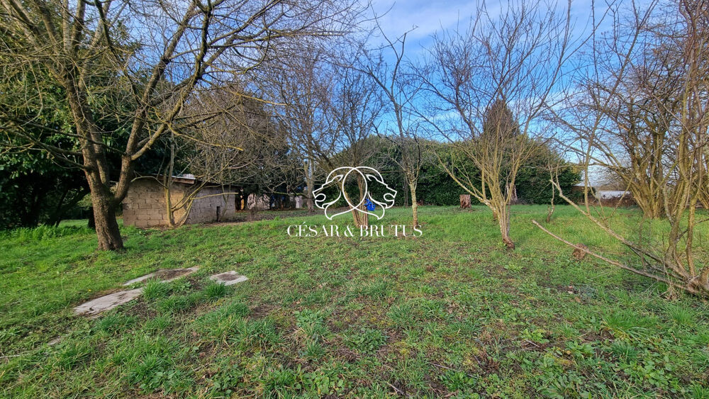 Vente Terrain Terain constructible 655m2 Mogneneins