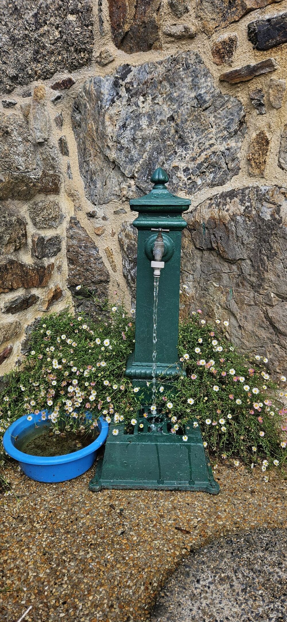 Ensemble de deux maisons en pierre avec jardin