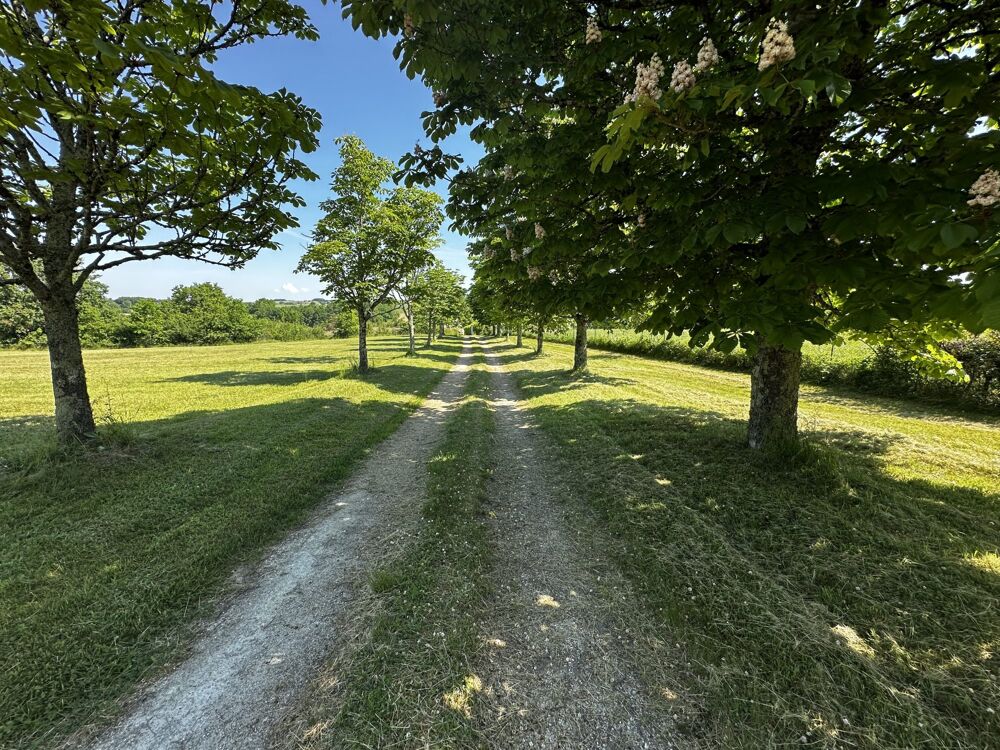 à vendre  Maison Eymet (24500)