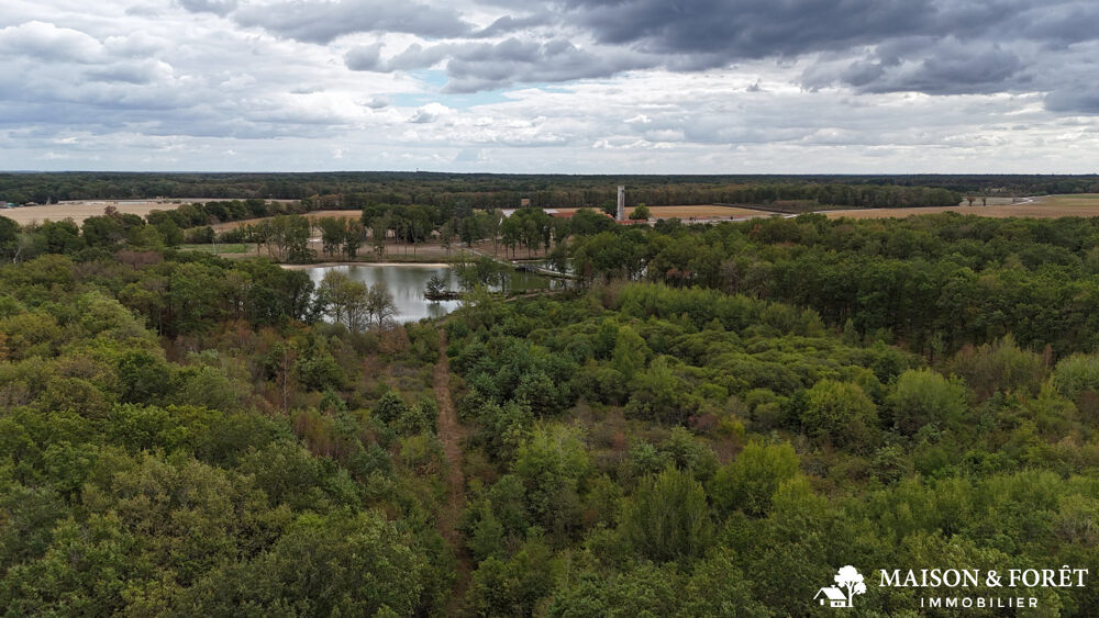 à vendre  Maison Gien (45500)