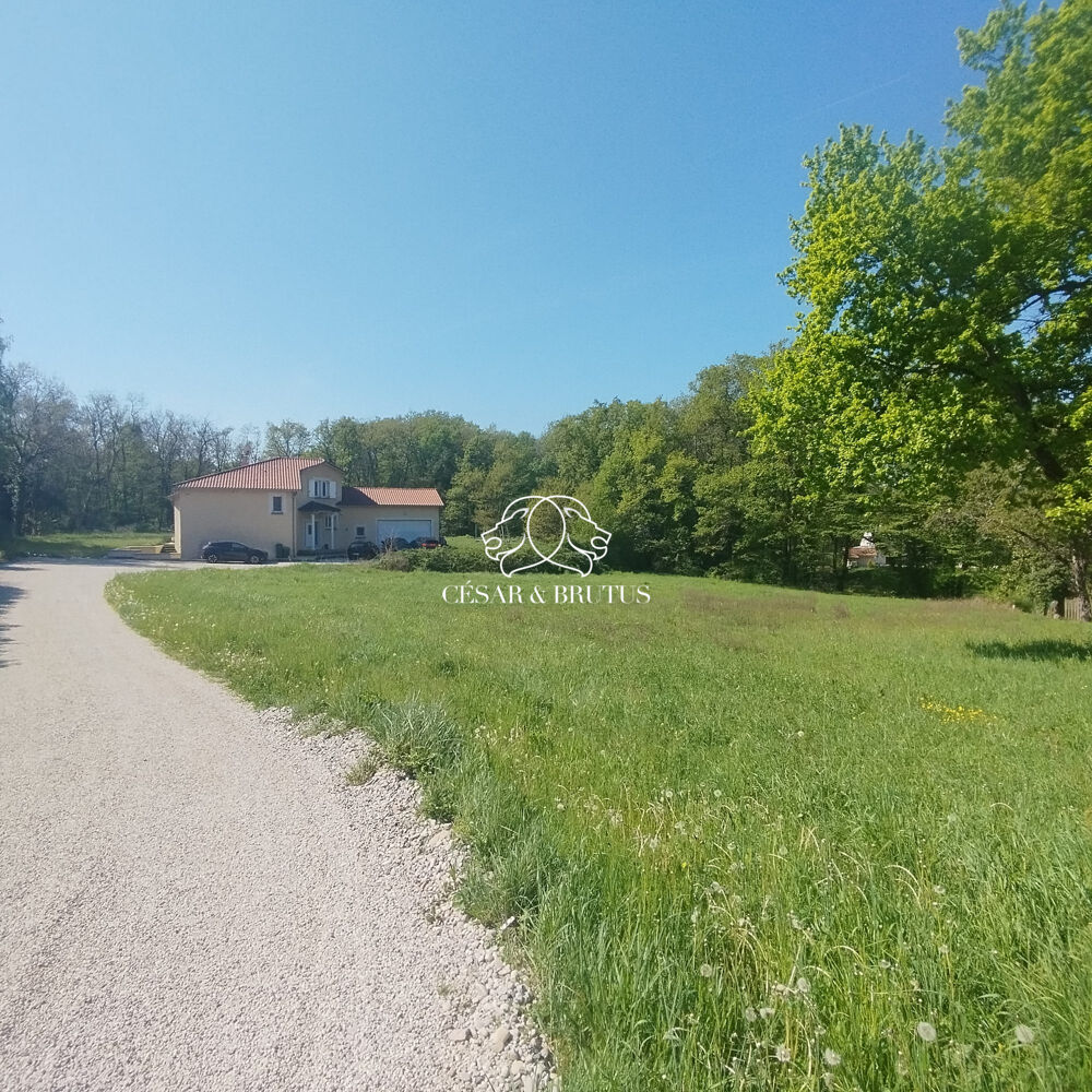 � vendre  Maison Dardilly (69570)