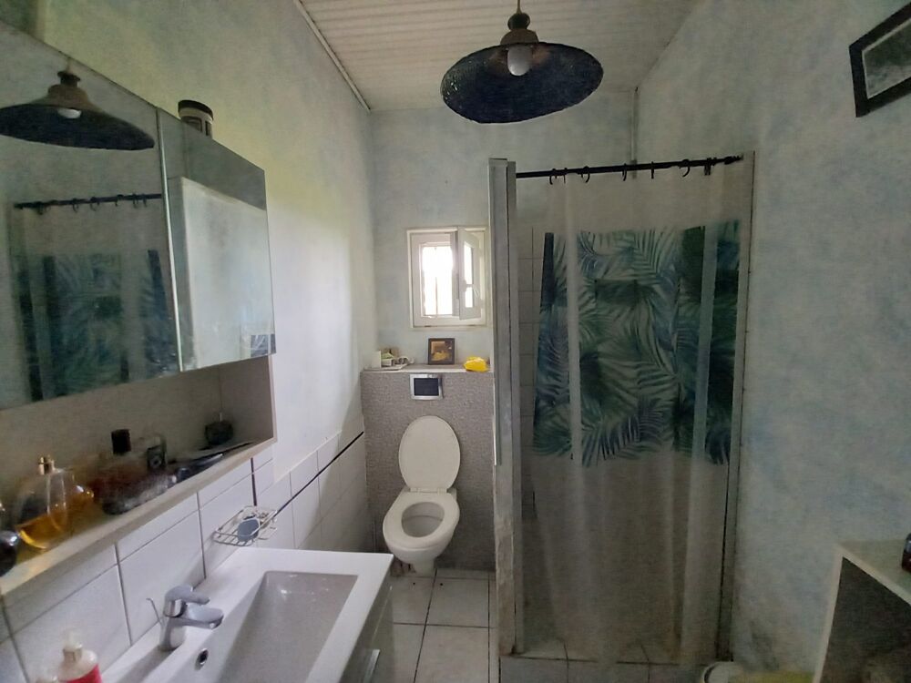 Vente Maison Maison de charme avec dépendances sur 1 hectare. Monbahus
