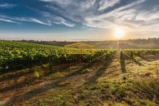  Maison � vendre 7 pi�ces 186 m�