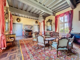  Propriété/château à vendre 15 + pièces 445 m²
