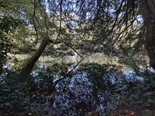  Maison � vendre 5 pi�ces 89 m�