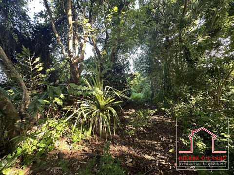   GRAND TERRAIN PLAT SAINTE ROSE 