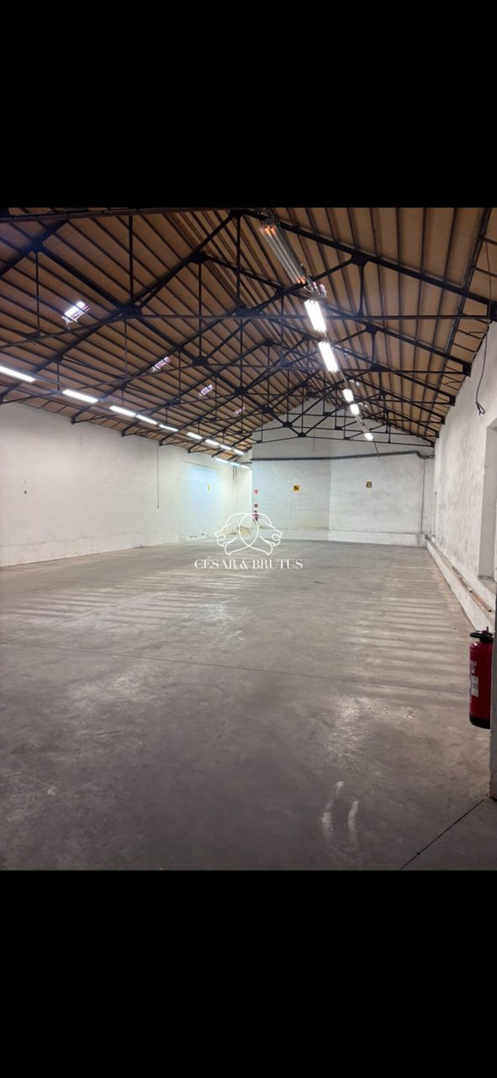   Immobilier Professionnel à vendre Lyon 