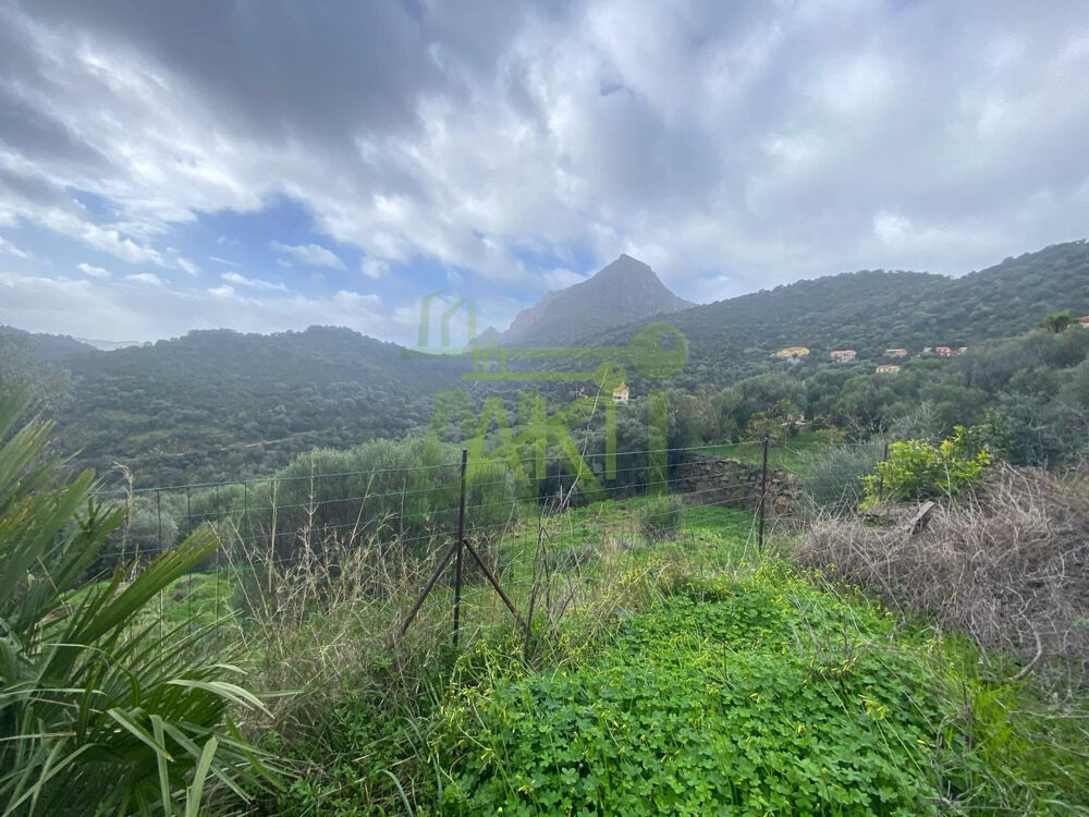 Vente Terrain OSANI – Terrain à bâtir 2 134 m² – Environnement naturel Osani