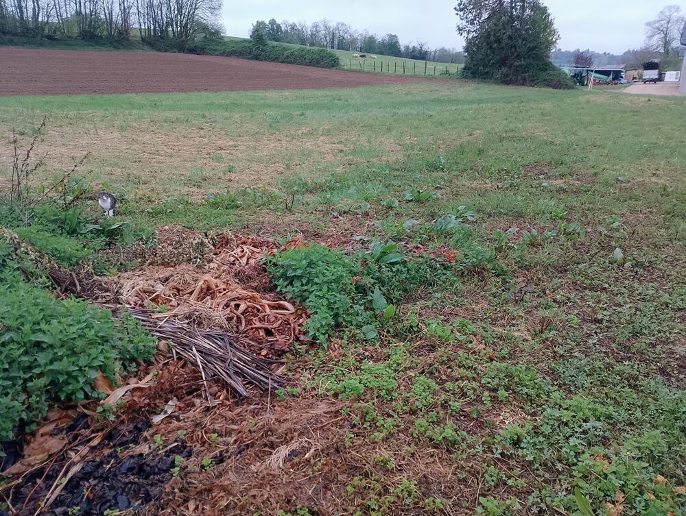 Vente Terrain superbe terrain constructible de 800m2 Romagnieu