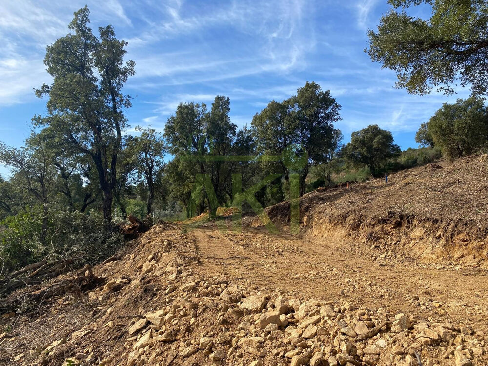 Vente Terrain TERRAIN A BATIR LIBRE CONSTRUCTEUR Tavaco