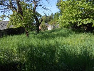  Immeuble à vendre 300 m²