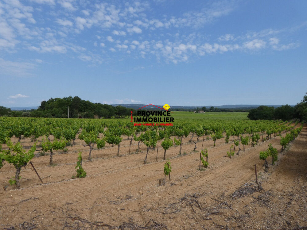 Vente Terrain PARCELLE DE VIGNES CEPAGE GRENACHE ET CARIGNAN Rochegude