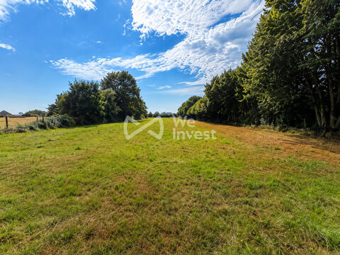 Terrain avec 700 m&sup2; constructibles et plus d'1 hectare de p&acirc; 115000 08230 Regniowez