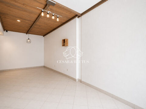   LOCAL COMMERCIAL - VIENNE HYPER CENTRE - 130m² 