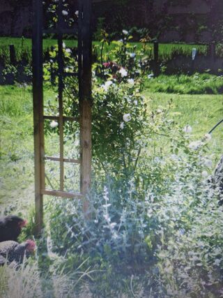 Vente Maison MAISON DE CAMPAGNE Valdallière
