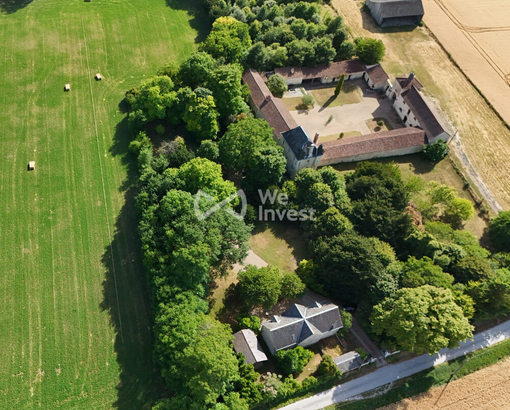 � vendre  Propri�t�/ch�teau Faye-la-Vineuse (37120)