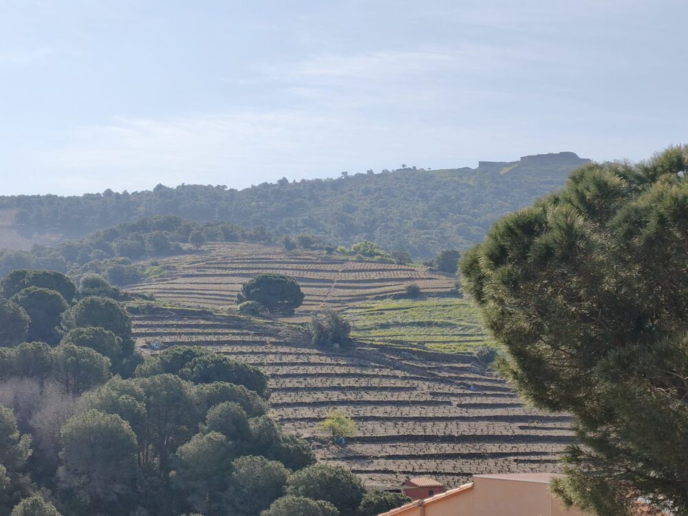 � vendre  Maison Collioure (66190)