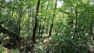  Maison � vendre 7 pi�ces 212 m�