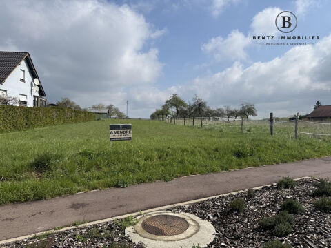   Terrain 24ares / 9ares constructibles - secteur DRULINGEN - ASSW 