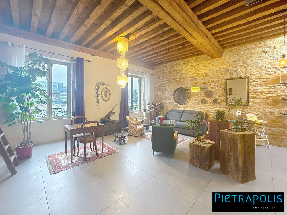 MAGNIFIQUE DUPLEX VUE SAONE