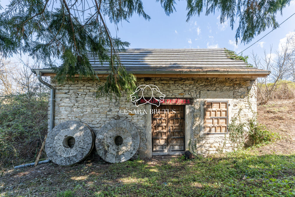 à vendre  Maison Trept (38460)