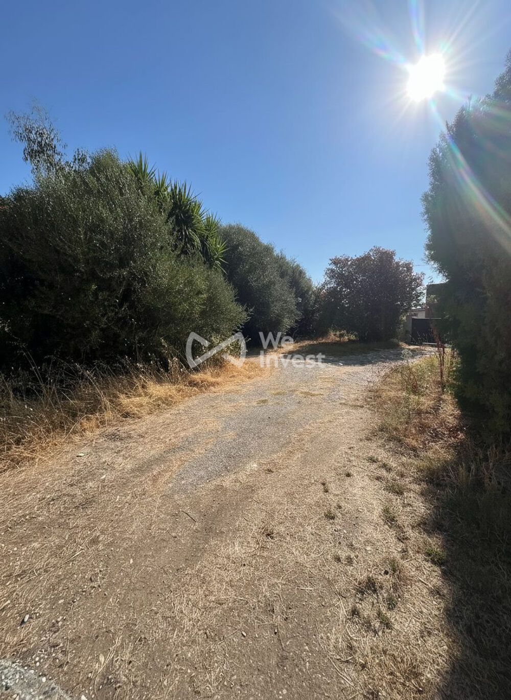 Vente Maison SECTEUR ÉCONOMIQUE, LUCCIANA (HAUTE-CORSE) Lucciana