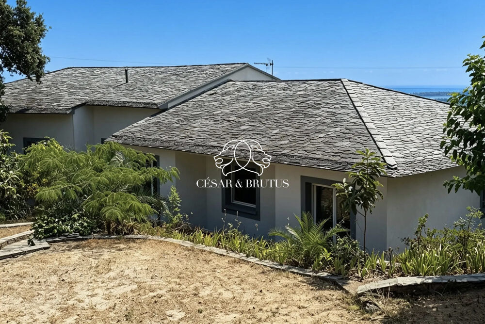 à vendre  Maison Biguglia (20620)