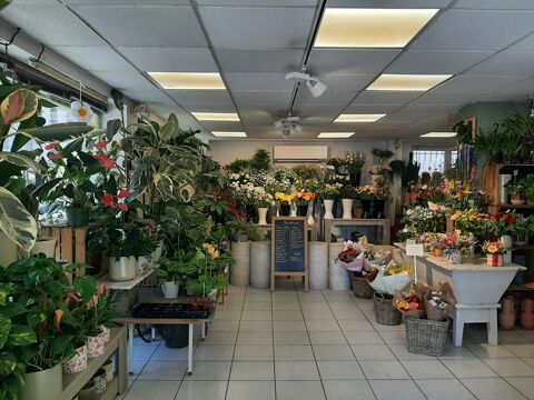 CARREFOUR TRES FREQUENTE 218000 69100 Villeurbanne