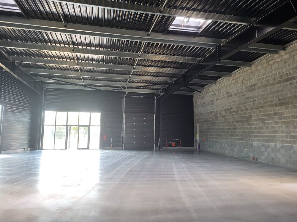   VANNEST NORD - Local d'activité de 350 m² 