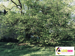  Terrain � vendre 818 m�