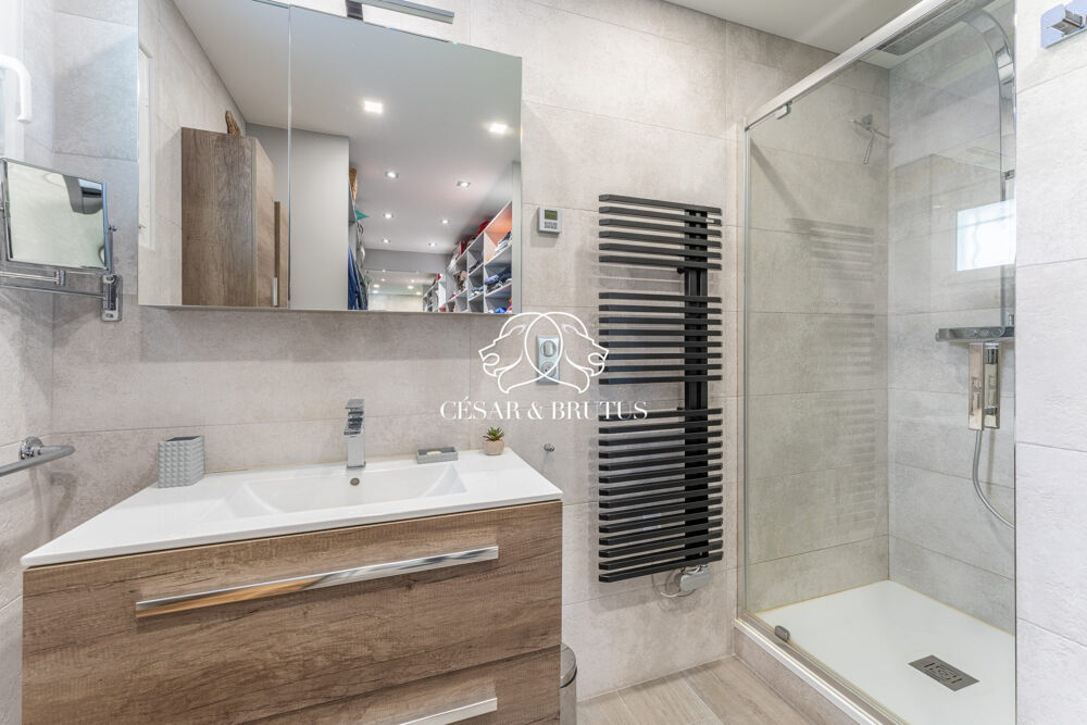 à vendre  Maison Assieu (38150)