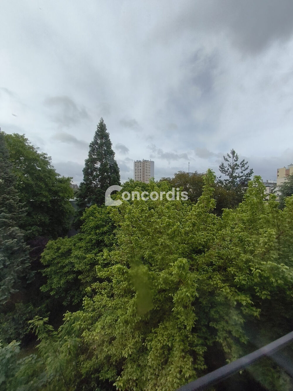 Location Appartement NANCY : appartement F3 (53 m²) en location Nancy