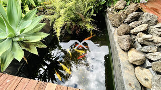  Maison � vendre 5 pi�ces 137 m�